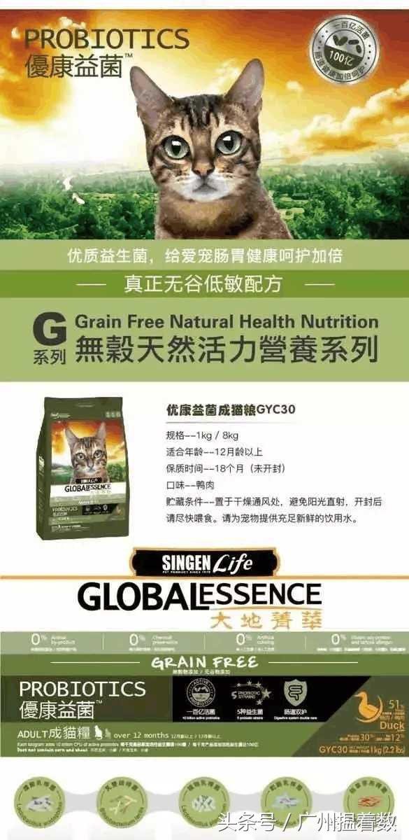 鏟屎官的心靈港灣主子們的SPA天堂！