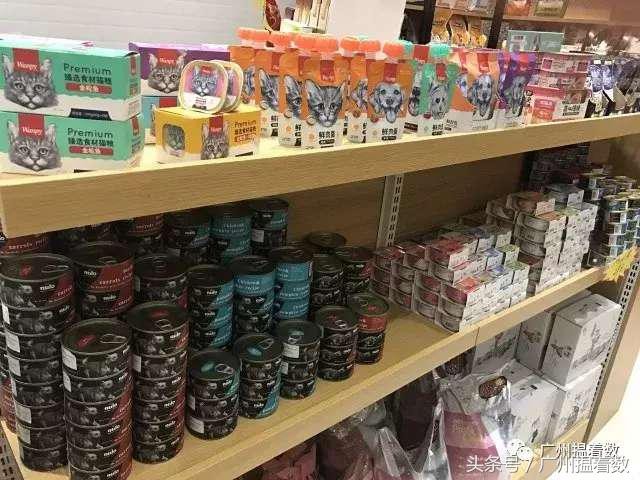 鏟屎官的心靈港灣主子們的SPA天堂！
