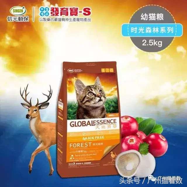 鏟屎官的心靈港灣主子們的SPA天堂！