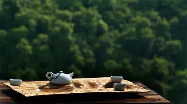 廣州竟藏著江南式禪修小院庭院論道禪房打坐還能養生SPA！