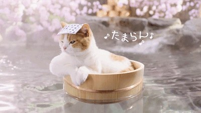 香薰池紅酒泉百花池……盤點上海周邊那些美容養顏的溫泉