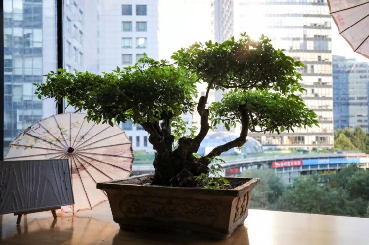 一秒穿越京都!帝都驚現網紅日式SPA館給你星級體驗!限時秒殺