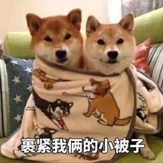 頭條|冷空氣已到貨溫泉之旅約嗎