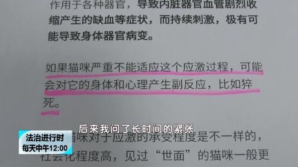 花600元給貓洗澡+SPA然后貓死了