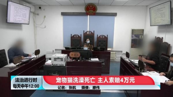 花600元給貓洗澡+SPA然后貓死了