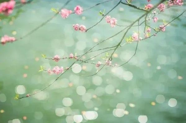 音對風浪!足不出戶告別emo這個SPA在線領取→