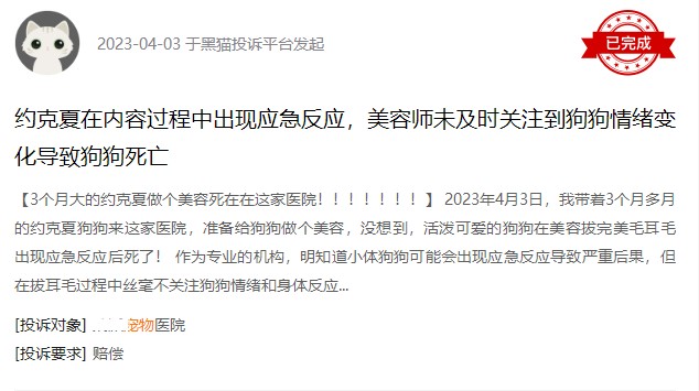 美容項目繁多犬貓SPA最高逾千元寵物美容貴在哪里