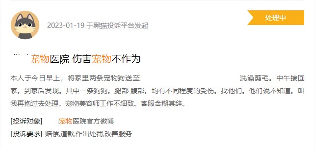 美容項目繁多犬貓SPA最高逾千元寵物美容貴在哪里