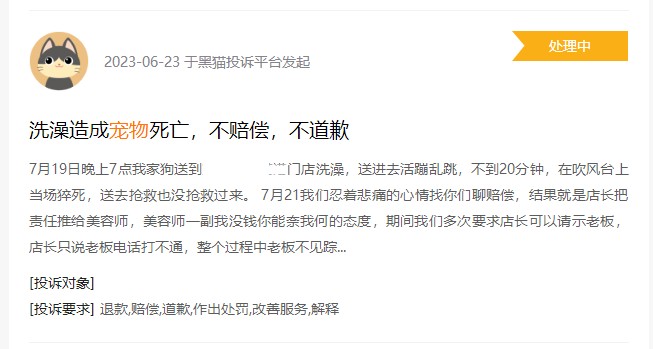 美容項目繁多犬貓SPA最高逾千元寵物美容貴在哪里