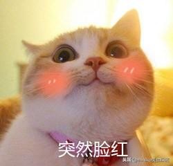 這家SPA店千萬不要去！因為……去了還想去啊