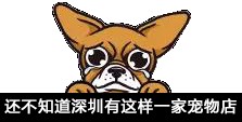 「廣東深圳」愛寵來啦！給淘氣寵兒做個SPA吧！