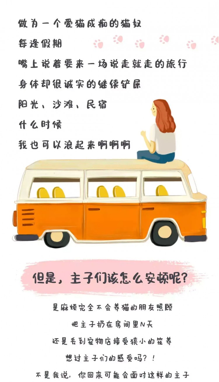 喵生贏家！杭州這家貓民宿24小時直播！5星級貓房！還能做貓SPA