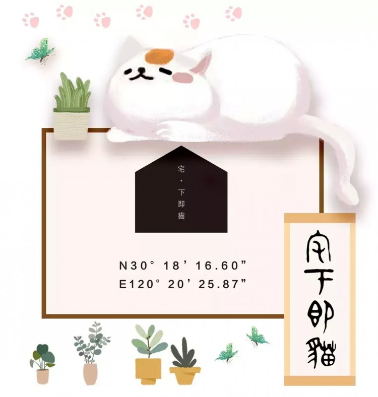 喵生贏家！杭州這家貓民宿24小時直播！5星級貓房！還能做貓SPA