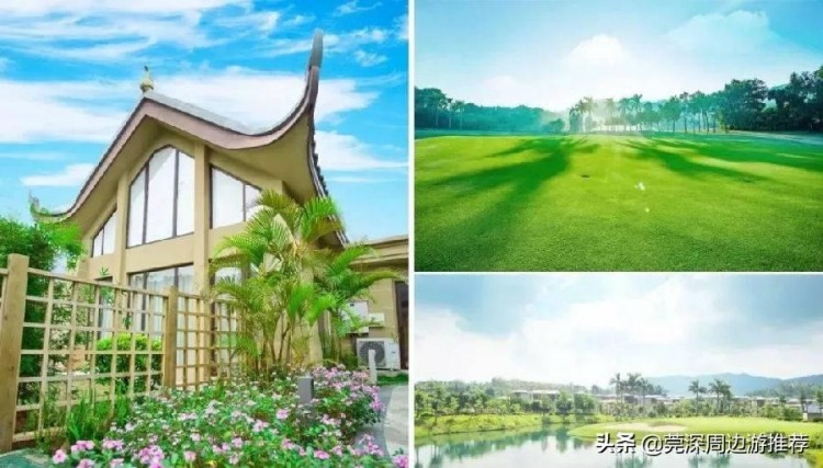 深圳周邊家庭游首選人均350享五星級住房+溫泉+泳池+水療+自助餐