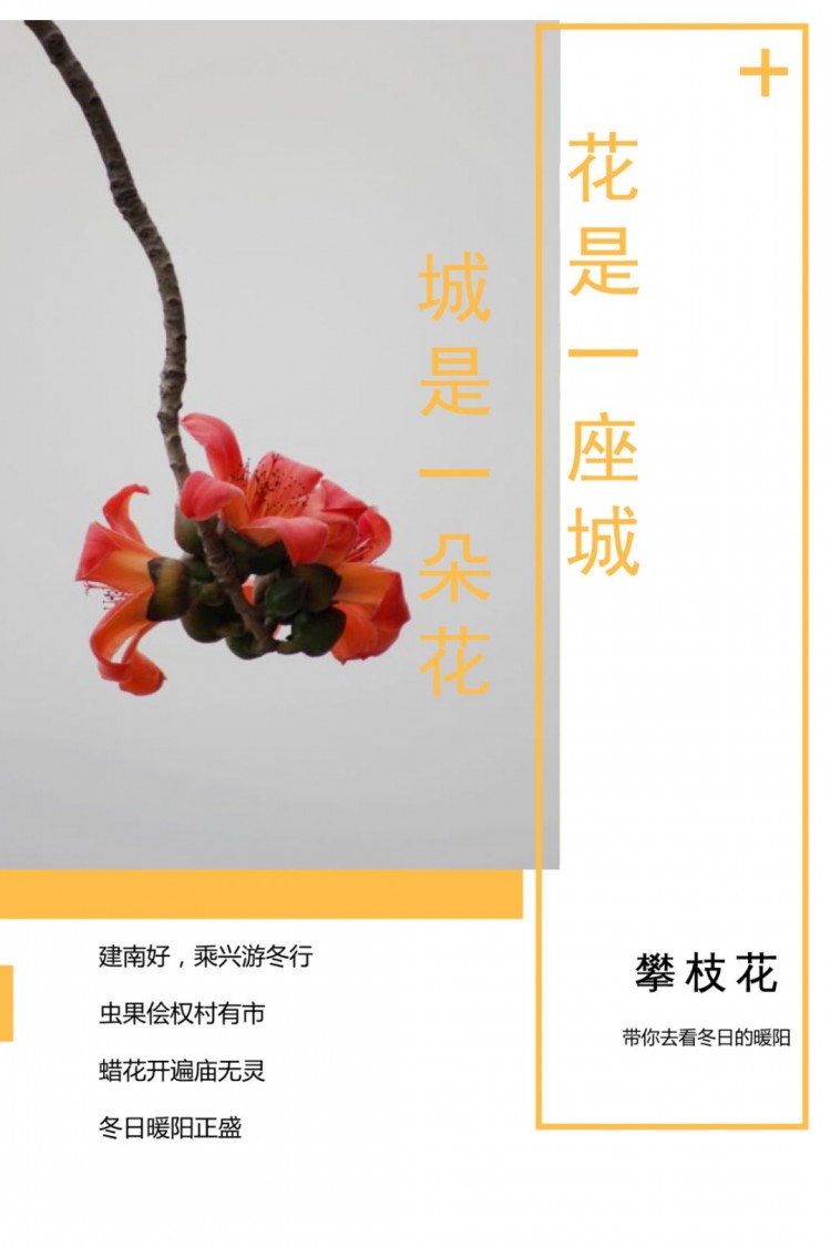 已開!成都的專屬避寒圣地好吃好耍還有陽光spa