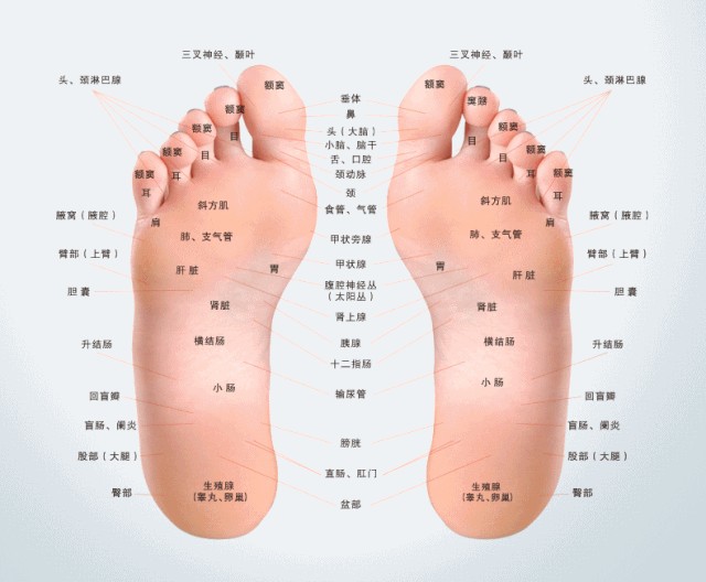 杭州一豪華足浴養生會所開業單人洗浴+搓背+足道全家來打卡