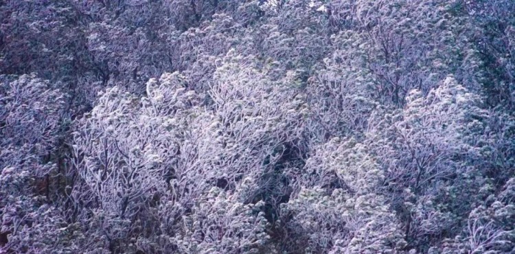 深圳周邊溫泉特別推薦的溫泉勝地周末就能泡