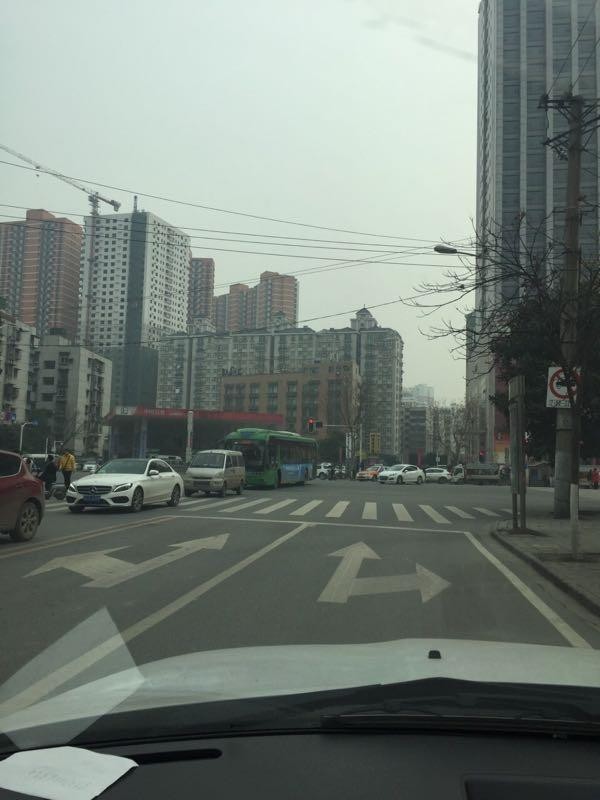 武漢天太冷車里住進流浪貓！熱心網友將其送去做暖身spa！