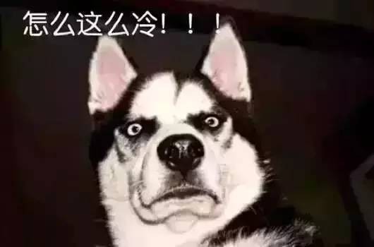 春節(jié)怎么玩小光告訴您！武漢周邊好玩的溫泉滑雪大揭秘