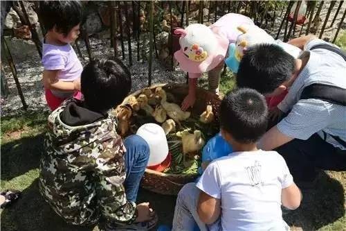 六一兒童節(jié)丨江寧7處適合帶孩子去的景點!
