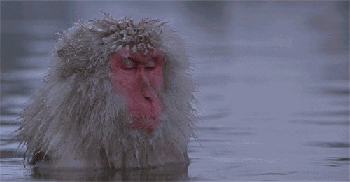 「溫泉季」為你盤點天津這些約泡好去處！