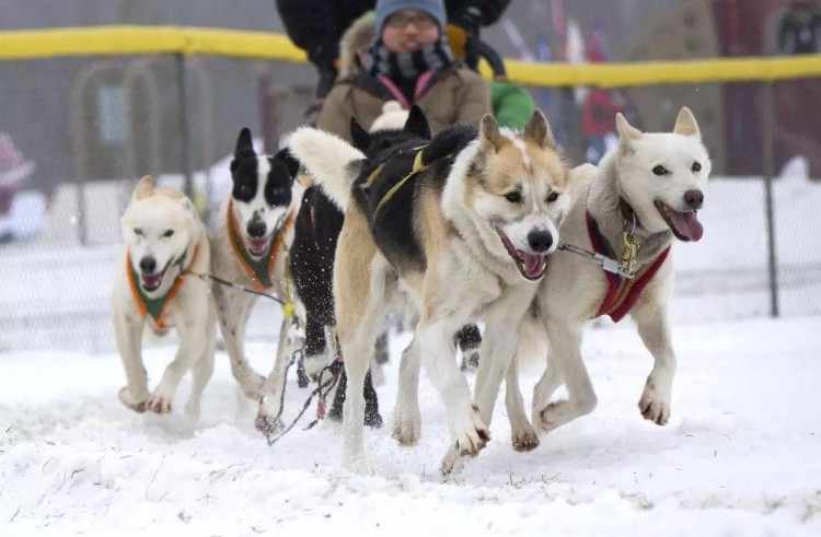 南京周邊竟有這么多滑雪場溫泉農家樂……