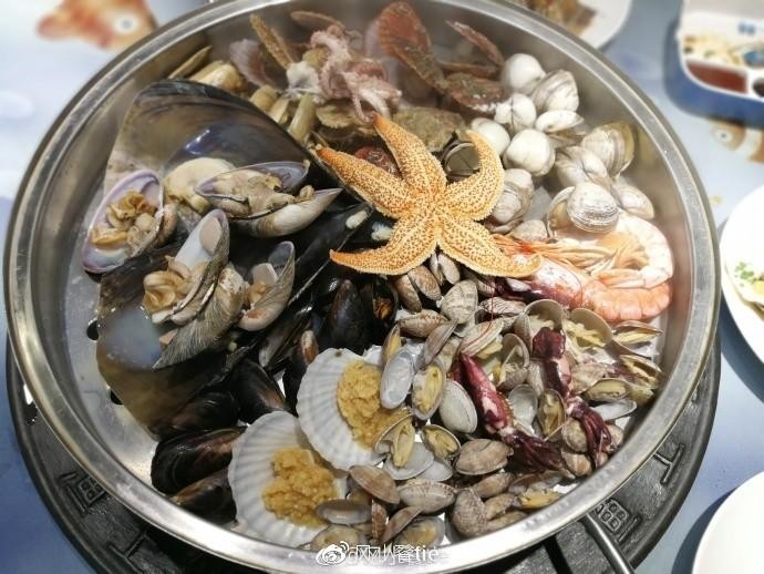 春日天津游記上