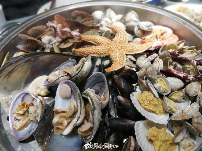 春日天津游記上