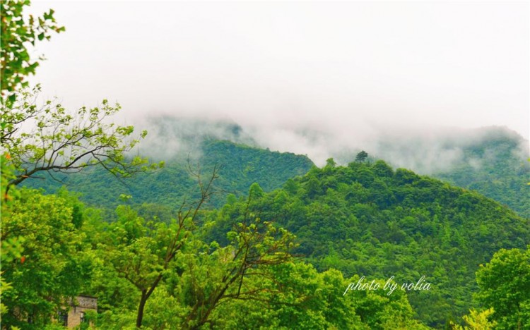 一山一溫泉一池一養生——你知道嗎重慶周末游有一個好去處