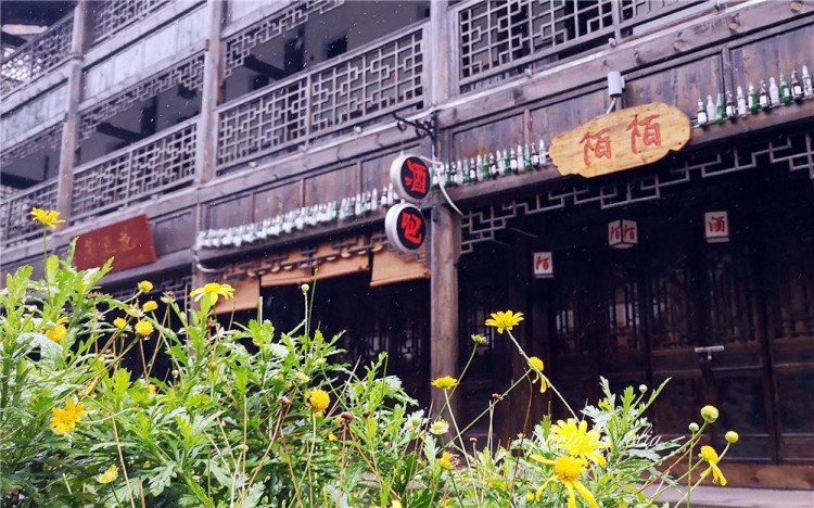 一山一溫泉一池一養生——你知道嗎重慶周末游有一個好去處