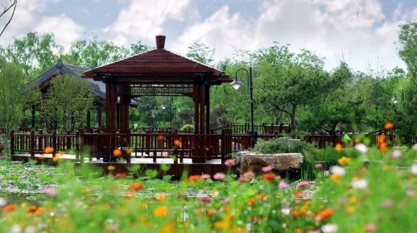 比水上公園大4倍!天津這座最有意境的森林公園如今被人遺忘卻依然美不勝收!