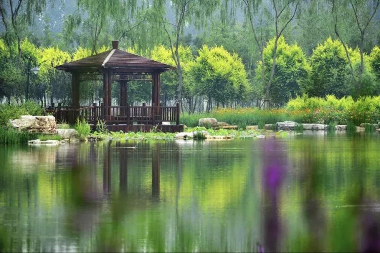 比水上公園大4倍!天津這座最有意境的森林公園如今被人遺忘卻依然美不勝收!