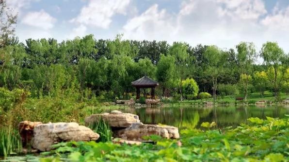 比水上公園大4倍!天津這座最有意境的森林公園如今被人遺忘卻依然美不勝收!