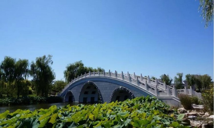比水上公園大4倍!天津這座最有意境的森林公園如今被人遺忘卻依然美不勝收!