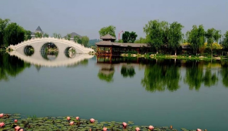比水上公園大4倍!天津這座最有意境的森林公園如今被人遺忘卻依然美不勝收!