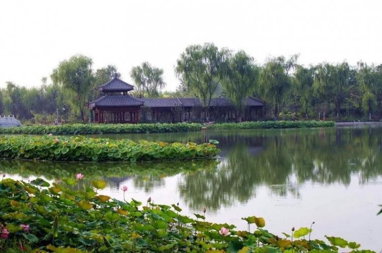 比水上公園大4倍!天津這座最有意境的森林公園如今被人遺忘卻依然美不勝收!