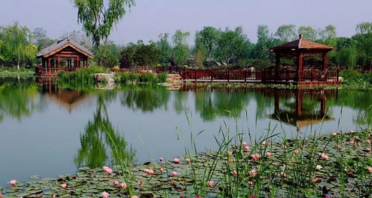 比水上公園大4倍!天津這座最有意境的森林公園如今被人遺忘卻依然美不勝收!