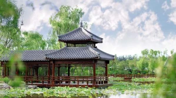 比水上公園大4倍!天津這座最有意境的森林公園如今被人遺忘卻依然美不勝收!