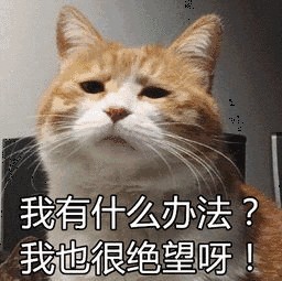 天津這家泰式按摩太銷魂！SPA足浴采耳...讓你從頭爽到腳！