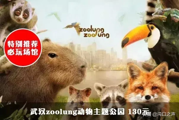 搶武漢親子年票啦看看這一年有哪些景區可以隨便玩