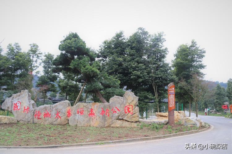 國慶在重慶別著急去炸街小婉帶你做一次身心SPA