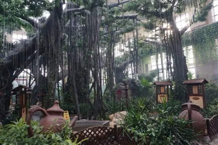 冬季泡溫泉來天津這些地方享受溫暖吧