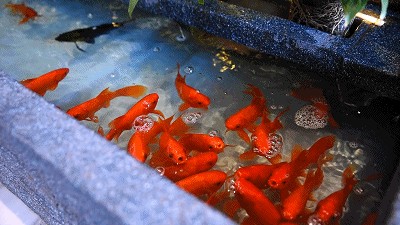 一次get「洗澡＋搓澡＋足療」這家過冬必去會所！性價比逆天咯