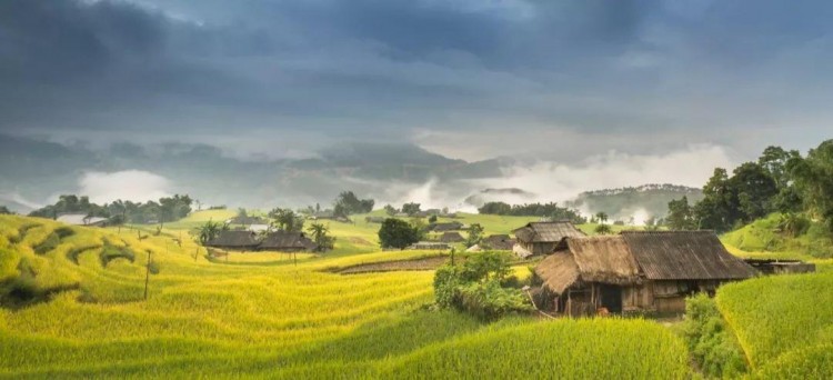 李子柒式的生活夢想在重慶如何實(shí)現(xiàn)