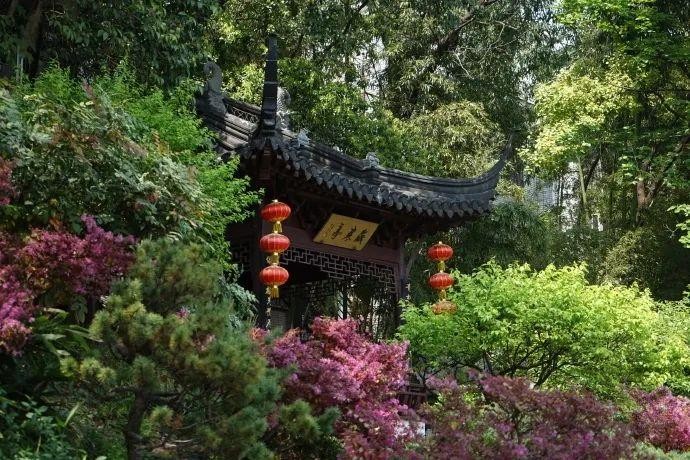 樂享五一·玩轉秦淮|還宅在家里來秦淮的園林給身心做個SPA~