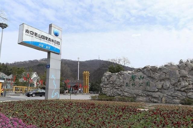 南京十大端午節旅游景點南京端午節旅游去哪玩好