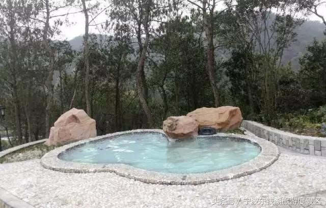 花訊播報泡湯賞花SPA住客房只在南苑花博園！