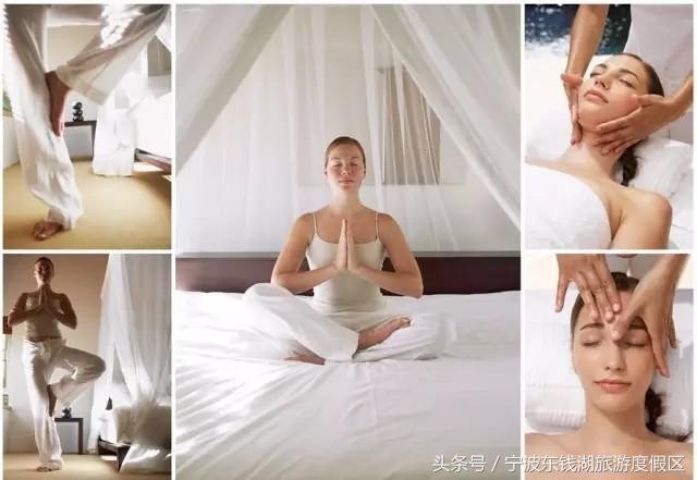花訊播報泡湯賞花SPA住客房只在南苑花博園！
