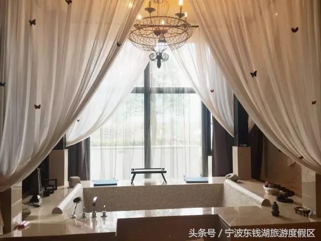 花訊播報泡湯賞花SPA住客房只在南苑花博園！