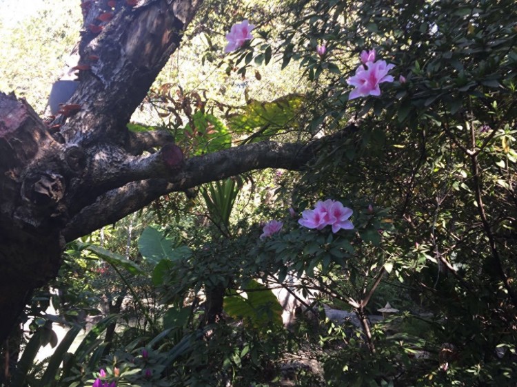 云南旅游景點推薦享受下昆明《柏聯SPA溫泉》